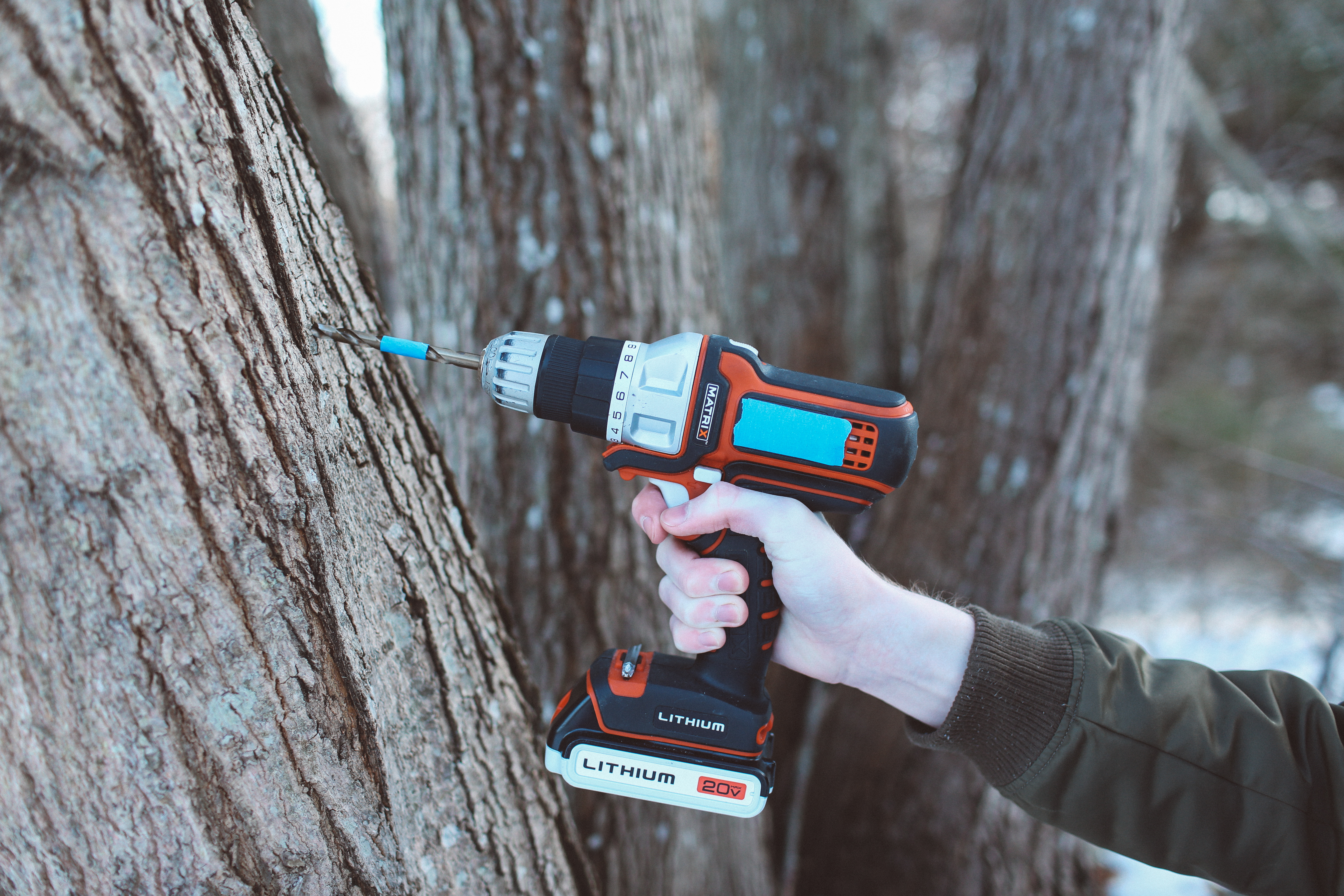maple-tree-tap-drilling-depth